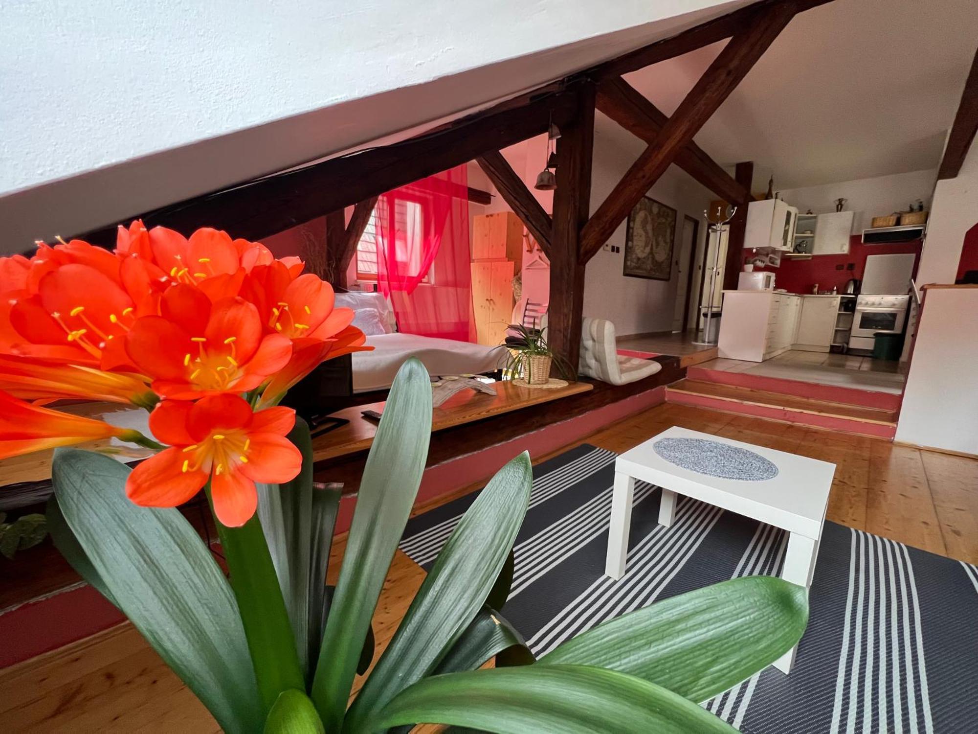 Apartman Galant Διαμέρισμα Český Krumlov Εξωτερικό φωτογραφία